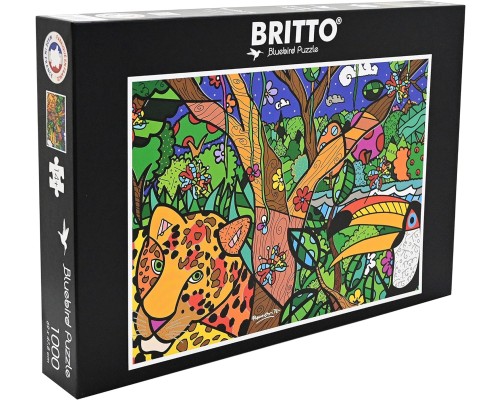 Romero Britto - Amazon