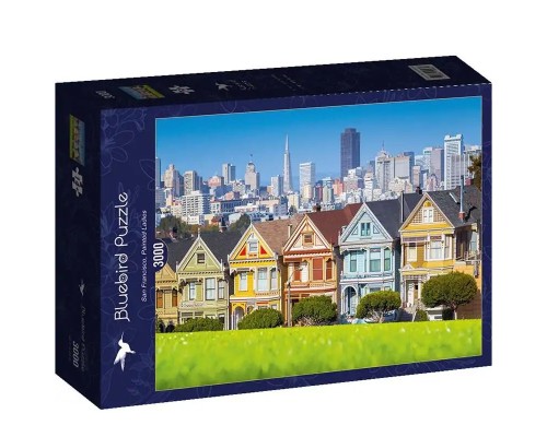 San Francisco, Painted Ladies