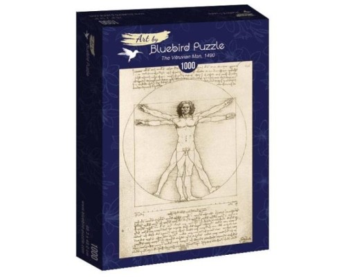 Leonardo Da Vinci - The Vitruvian Man, 1490